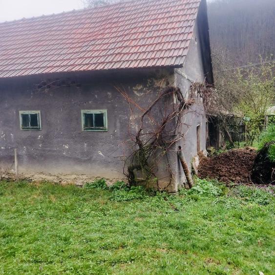 Casa si teren de vanzare - 1