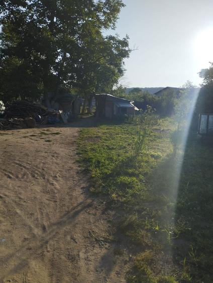 Vand casa teren 1500 mp - 6