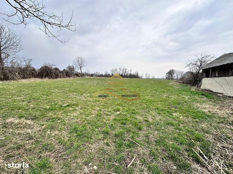 Teren de vanzare Blagesti Bacau - 2