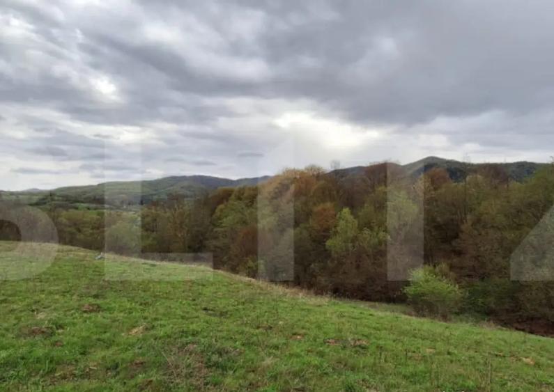 Oportunitate!!!! TEREN EXTRAVILAN CU SUPRAFATA DE 12500 MP - 2