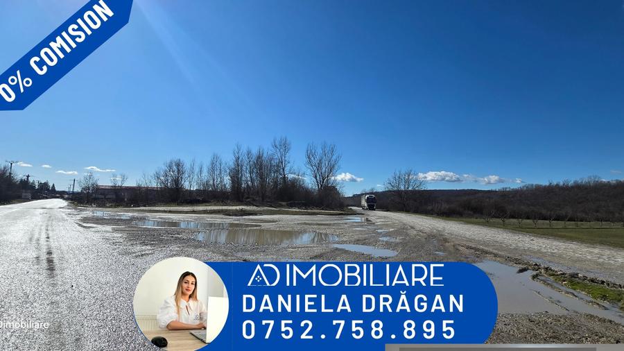 Teren de vânzare 12.771 mp – zonă industrială/comercială Bârsești - 1