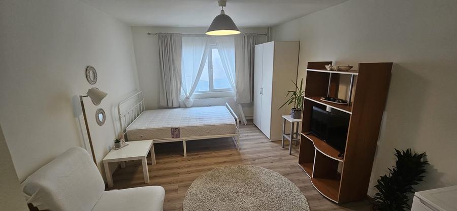 Garsoniera-renovata-integral-mobilata-utilata-poarta-6 - 5