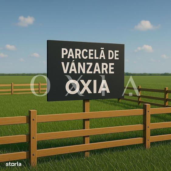 SX683 Mosnita Noua - Drumul Boilor - Drum asfaltat - 1