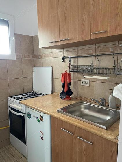 Nicolae-Grigorescu - 7