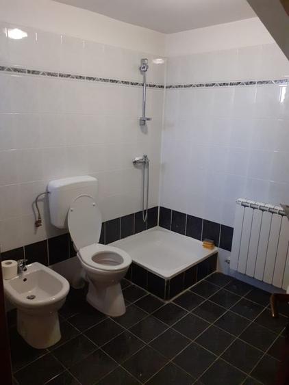 Casa insiruita, 2 dormitoare, garaj, Sanmartin. 120 000 E. Comision 0. - 18