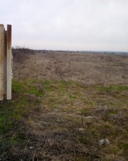 5550 M2 teren constructii la 7 km de Targoviste in Dragomiresti - 3