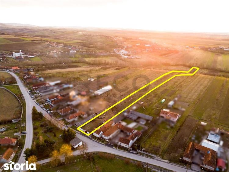 RECO Teren intravilan pentru loc de casa 5342 mp- sat.Hotar - 4