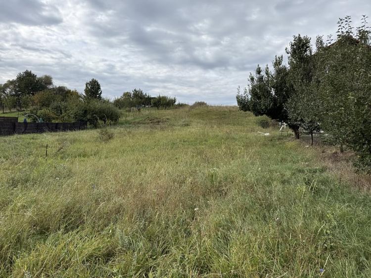 Teren Intravilan, 1946 mp, Valea Chintaului, ideal pentru constructie! - 1