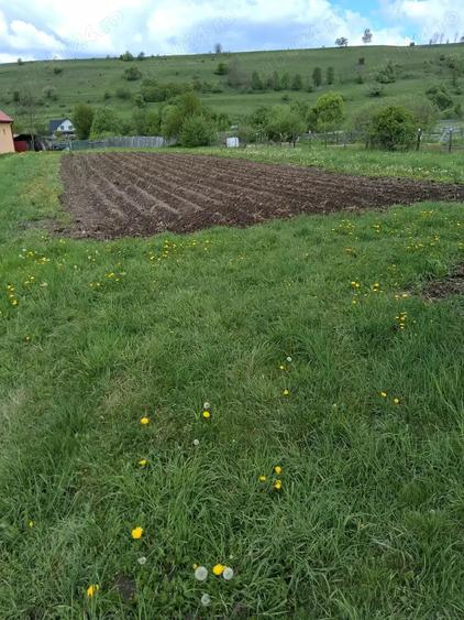 Casa de vanzare - municipiul Toplita, Judet Harghita - 4