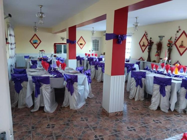 Tomesti deal la DE Iasi-Albita casa 118 mp si pensiune 530 mp - 4