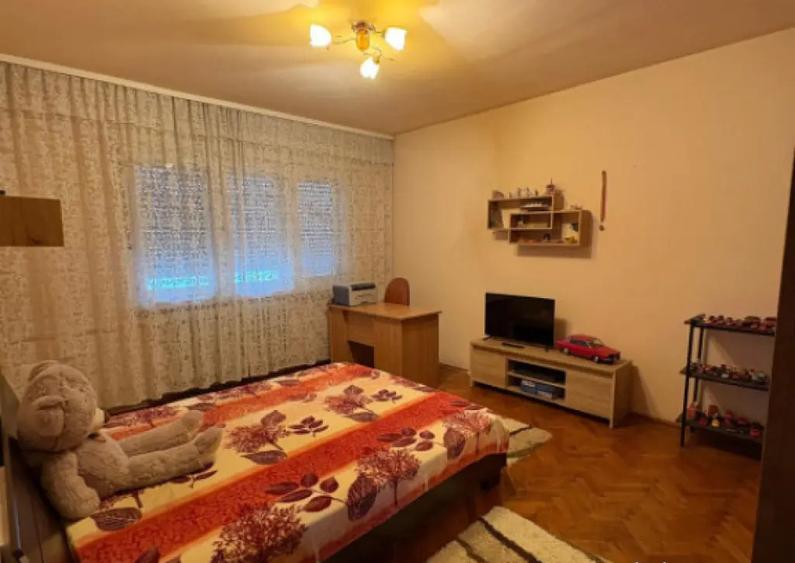 Casa spa?ioasa 280 mp utili, zona centrala langa - 14