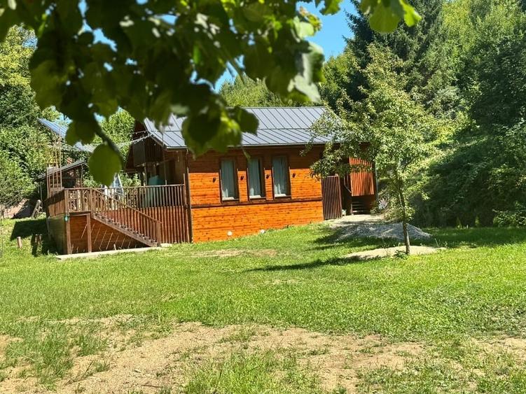 Cabana de vanzare Codlea zona Geamana complet mobilata - 16