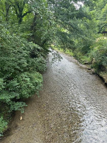Casa de vanzare situata in Valea Cheii, Pausesti Maglasi , Valcea - 8