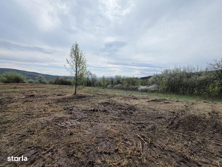 De vanzare teren intravilan Barsau, jud. Hunedoara - 1