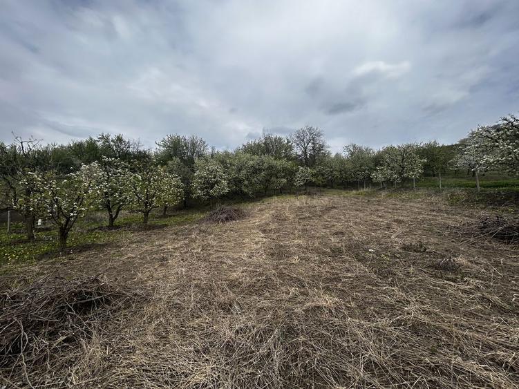 Teren intravilan 3600 mp Str. Lovinescu, Radaseni, toate utilitatile - 6