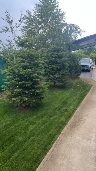 Vanzare casa Paradisul Verde Corbeanca - 7