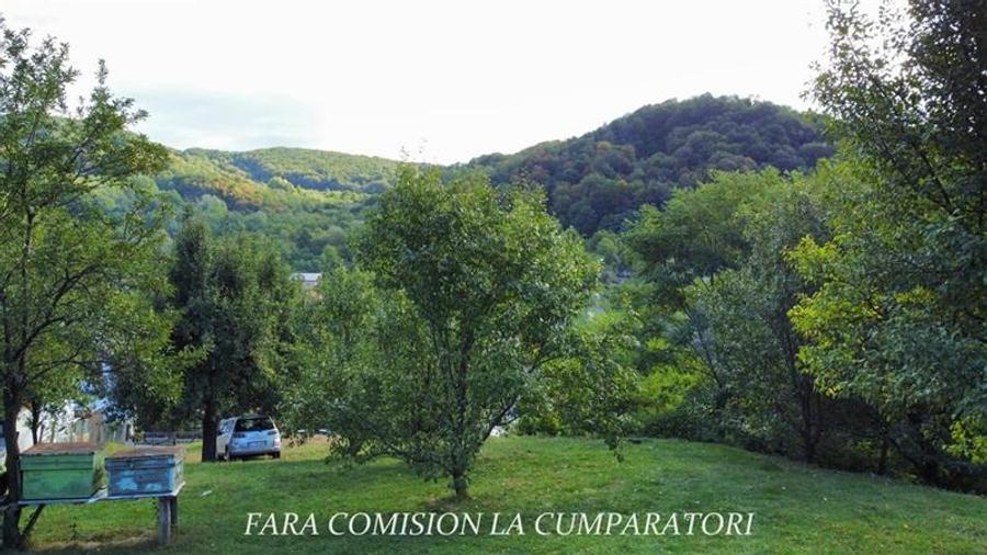 TEREN 1869 MP, CADRU NATURAL SUPERB, TOATE UTILITATILE - 11