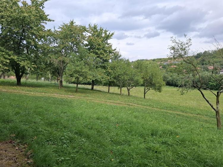 Teren intravilan Fetindia jud Salaj - 1