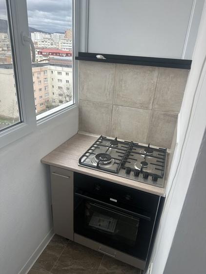 Garsiniera de vanzare sau inchiriere - 7