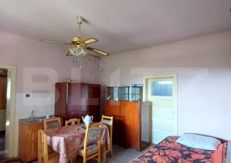 Casa renovabila cu 11508 mp teren, in Copaceni - 1