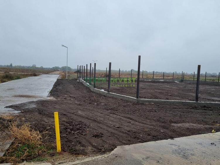 DN 4 Frumusani - Proprietar ofer spre vanzare teren 500 mp - 11