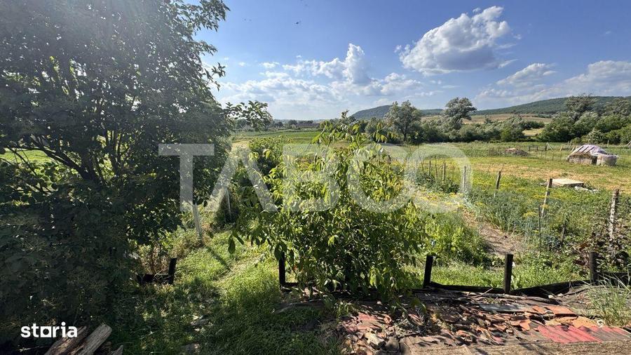 Casa de vanzare cu curte spatioasa loc relaxare si gradina Cornatel - 17