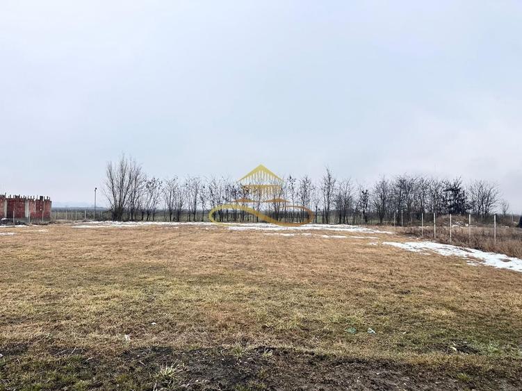 Teren de vanzare Siretu Saucesti Bacau - 1