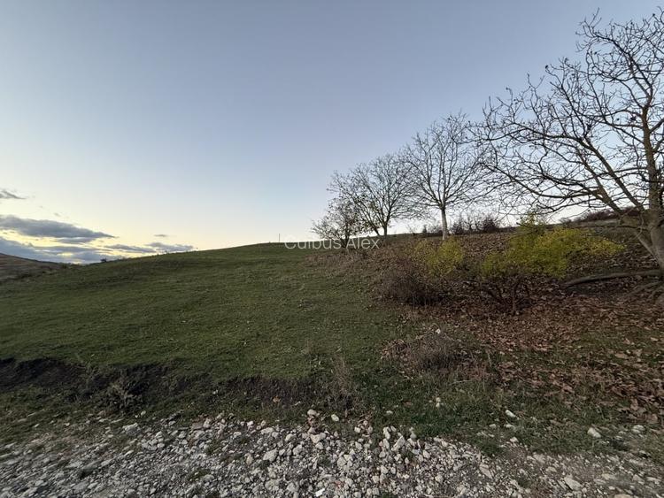 Teren Intravilan cu panorama in Borhanci Str Colonia Sopor 1000mp+85mp cota drum