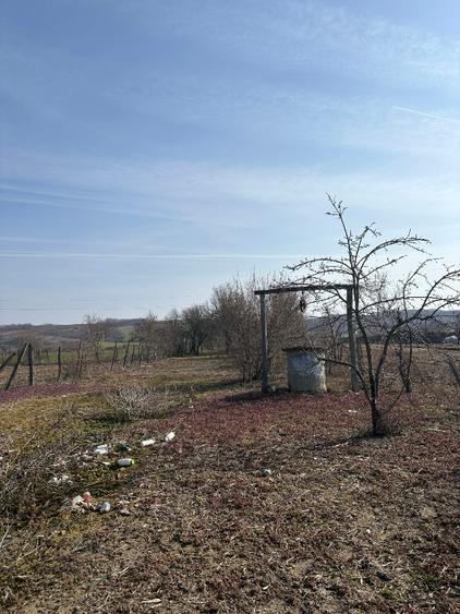 Vând casă nouă Bulzești Dolj  plus teren 3750mp - 5