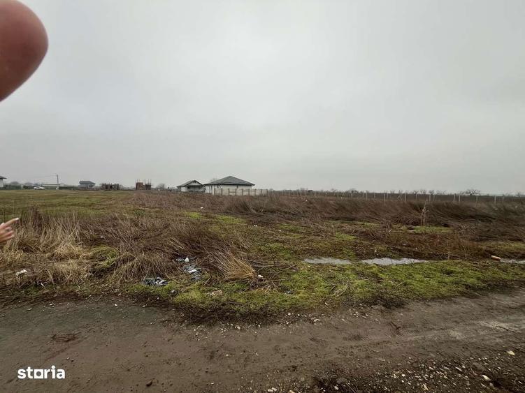 De vanzare teren 5000m , Ilfov - 10