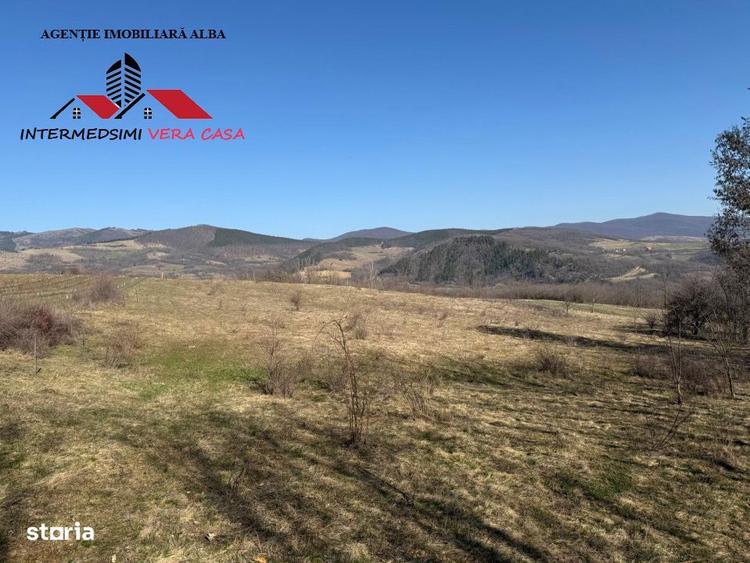 Teren extravilan 28900 mp de vanzare in Stauini Jud Alba - 3
