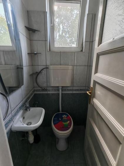 Vilă interbelică – Casin / Domenii – ideală clinica/ resedinta/ sediu / ambasada - 23