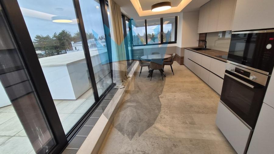 Penthouse 4 Camere Kiseleff Bucuresti - 7