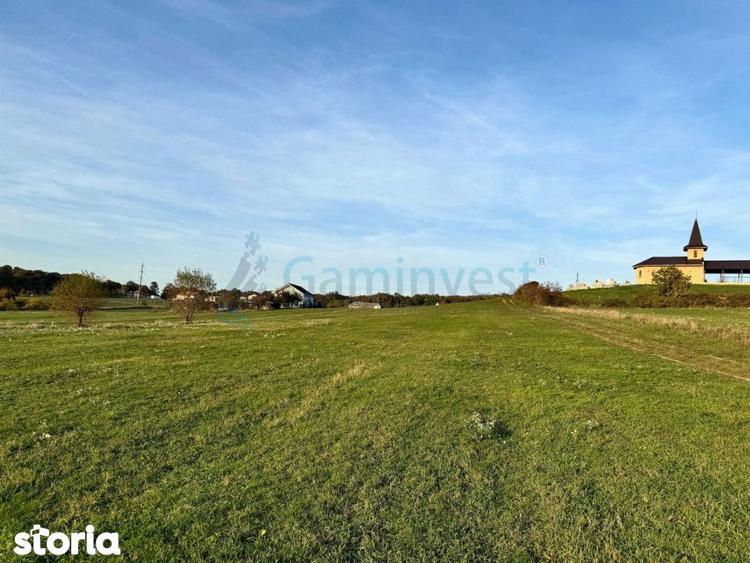 Teren de vanzare in Betfia, 5487 mp intravilan, Bihor, Gaminvest-V4571 - 5