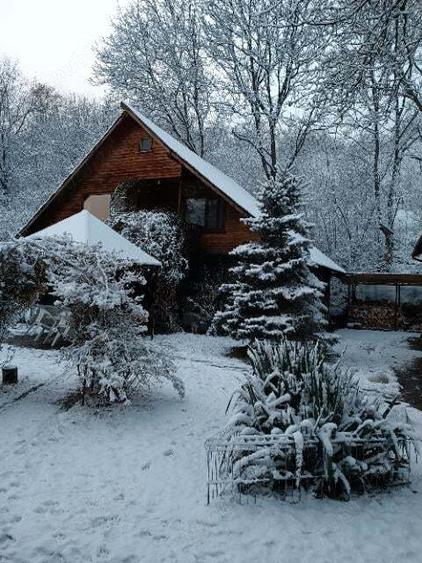 proprietate deosebita,pe malul Teleajenului, de vanzare - 3