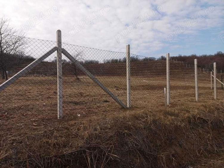 Teren ingradit cu panorama de vinzare Podgoria - 3