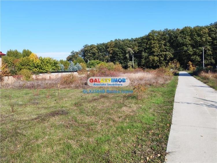 Teren intravilan 471 mp - str Timpului - Corbeanca - 8