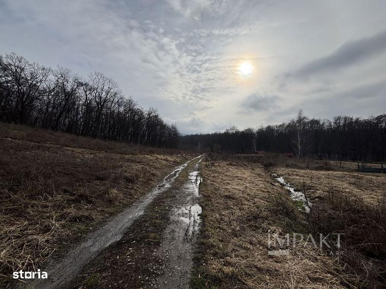 De vanzare doua parcele de 3752 mp impreuna- zona Faget - 3
