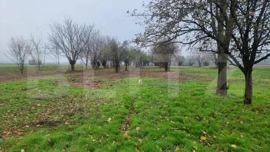 OPORTUNITATE TEREN 0,9 Ha intravilan constructii+extravilan - 12