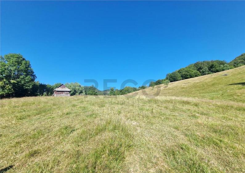 RECO teren extravilan Remeti - 5