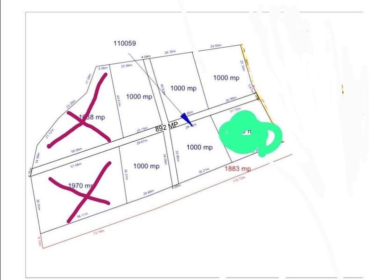 Loturi de 1000 mp de vanzare la Sura Mare - 1
