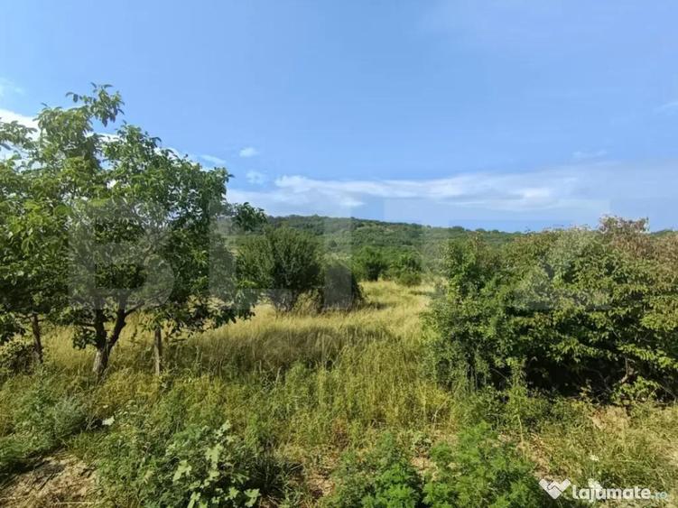 Teren intravilan, de vanzare, 1252 mp, zona Arghires - 2