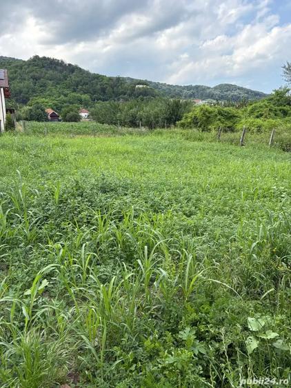Teren Copacelu, 450mp - 5