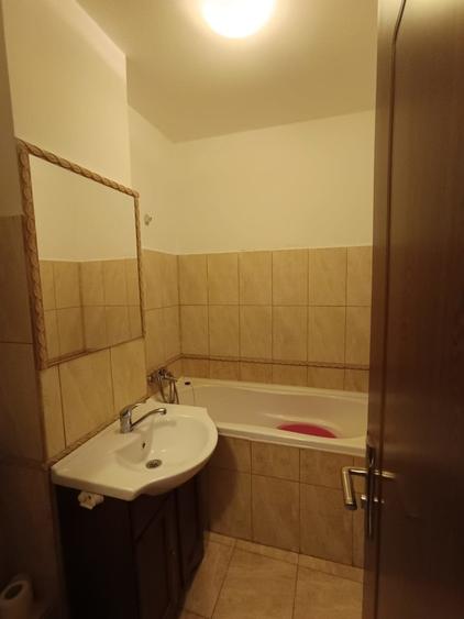 Apartament spatios Gradina Publica - 4