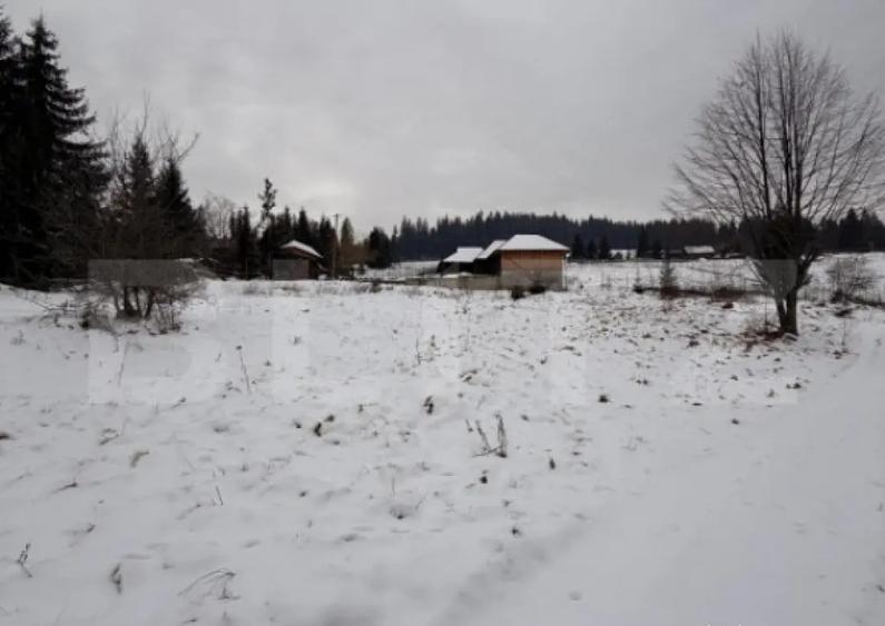 Eren intravilan 10746 mp, front 58 ml, localitatea Pojorata - 4