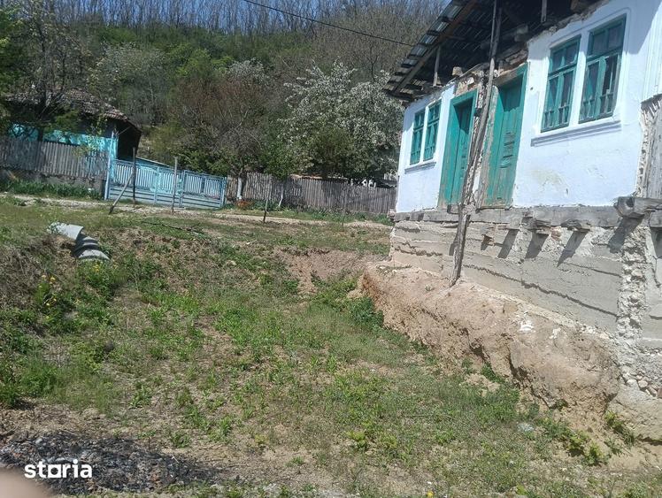 Casa de vacanta - 3