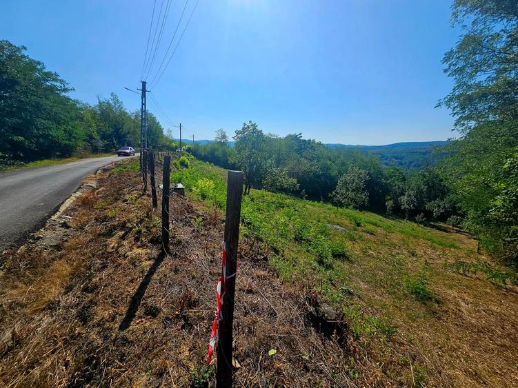 Teren intravilan 2322 mp, Păcuri – vedere superbă spre pădure! - 1