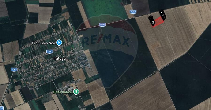 Teren extravilan 46,300mp Curtici - 2