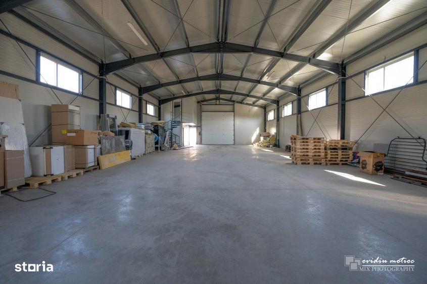 Hala singur la curte Valea Chintaului - 5