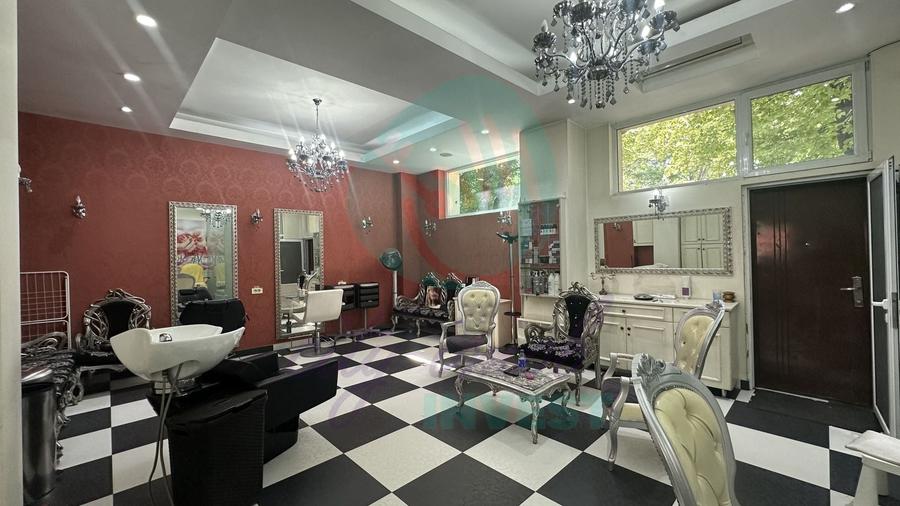 Spatiu Comercial CALEA MOSILOR - 5